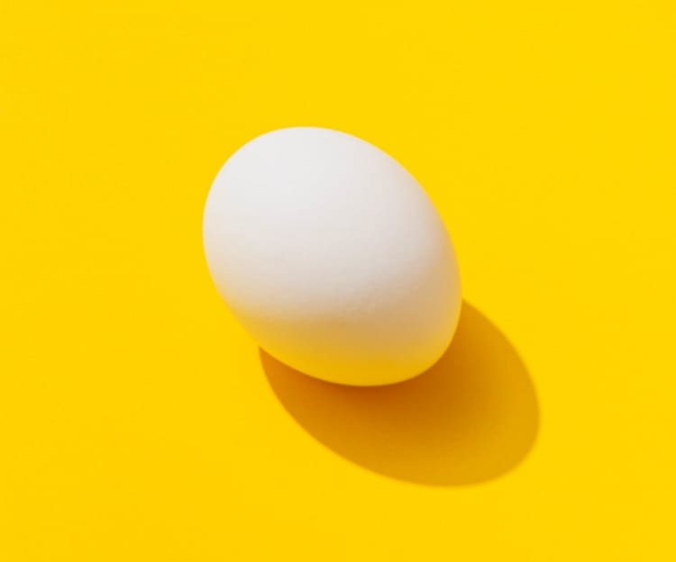 image of an egg